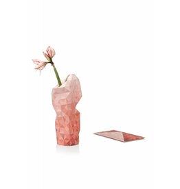 Paper Bottle/Vase Cover Designer/Pepe Heykoop 